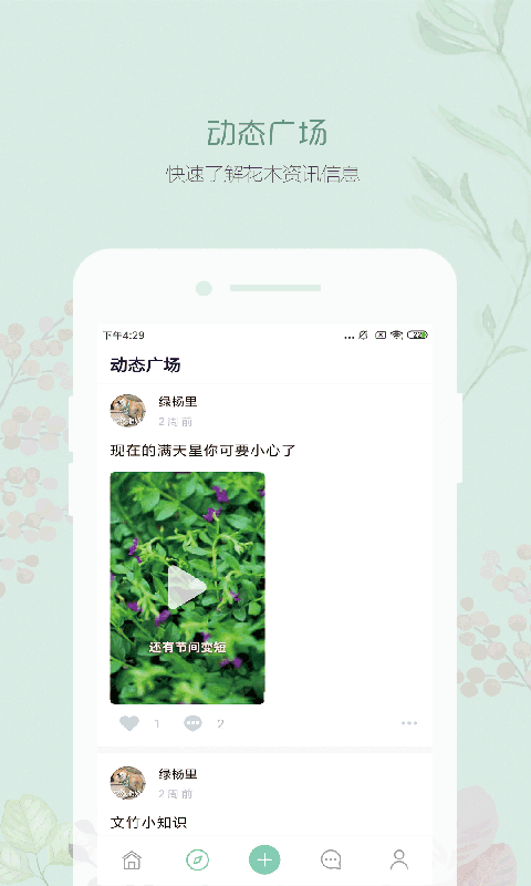 懂花木正版下载安装