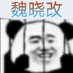 bvn魏晓改